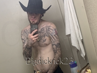 Bigdickrick23