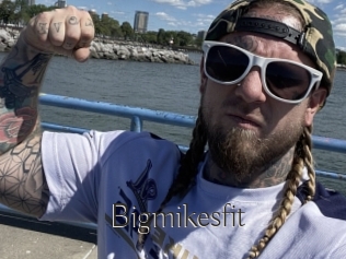 Bigmikesfit