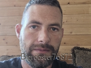 Bigrooster76872
