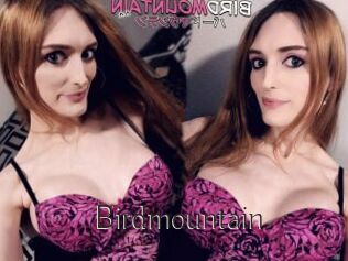Birdmountain