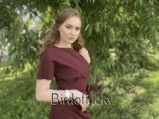 Birdoflucky