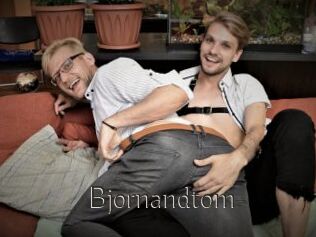 Bjornandtom