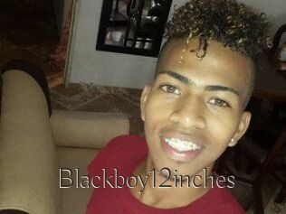 Blackboy12inches