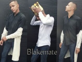 Blakemate