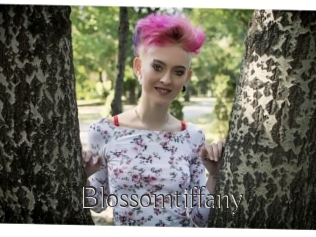 Blossomtiffany