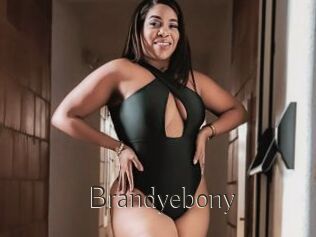 Brandyebony