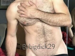 Brbigdick29