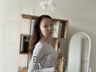Breecoote