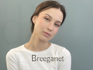 Breeganet