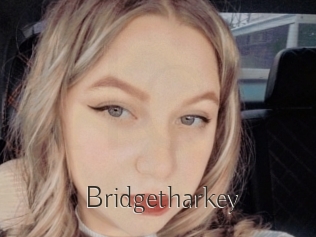 Bridgetharkey