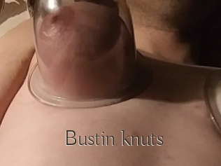 Bustin_knuts