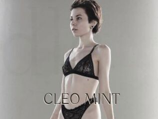 CLEO_MINT