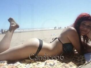 Candice66