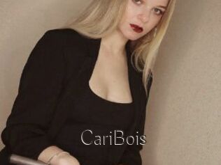 CariBois