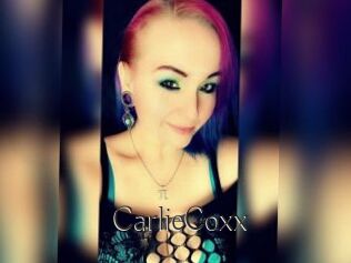 CarlieCoxx