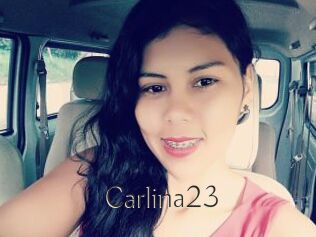 Carlina23