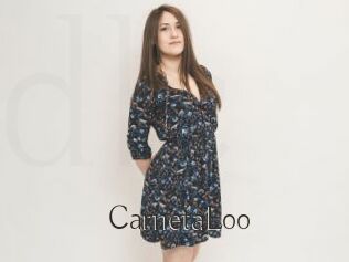 CarnetaLoo