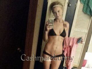 Cashmerebunny