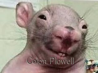 Colon_Plowell