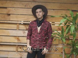 Conall_Hawk