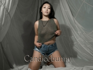 Candicebunny