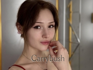 Carrybush