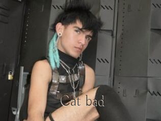Cat_bad