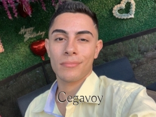 Cegavoy