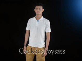 Cockdestroysass