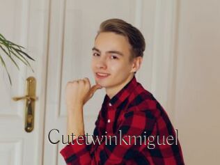 Cutetwinkmiguel
