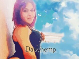 Daisy_hemp