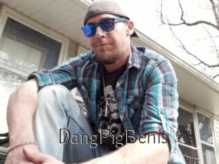 DangPigBenis