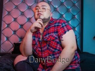 DanyBridge