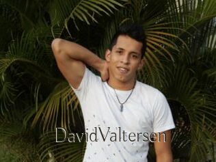 DavidValtersen