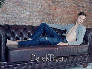 DerekTiger