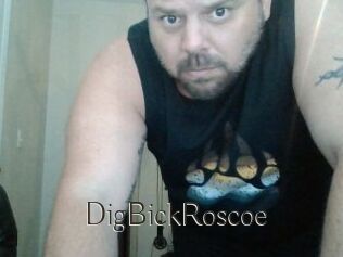 DigBickRoscoe