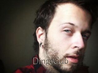 DingoCub