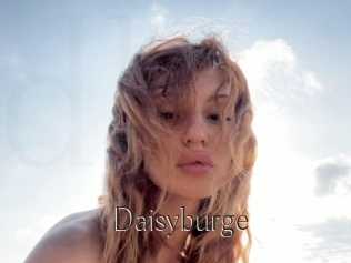 Daisyburge