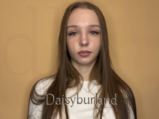 Daisyburland