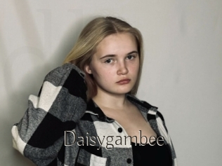 Daisygambee
