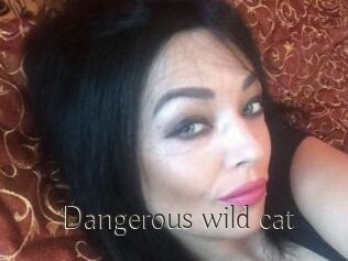Dangerous_wild_cat