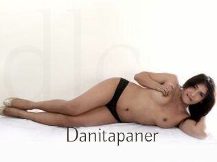 Danitapaner