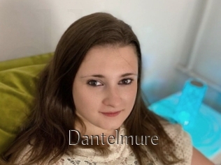 Dantelmure