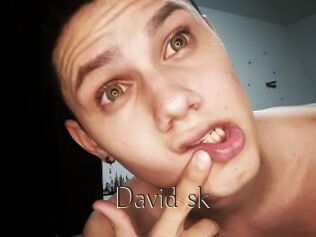 David_sk