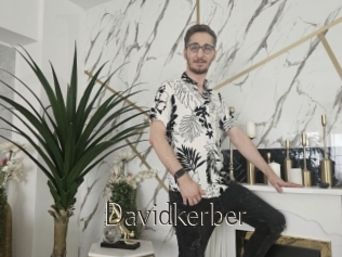 Davidkerber