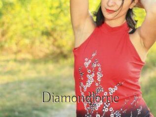 Diamondlorrie