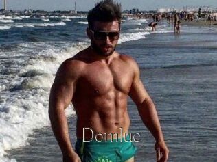 Domluc