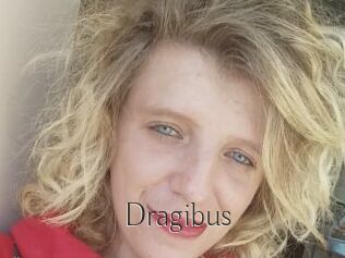 Dragibus