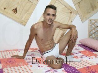 Dylan_north