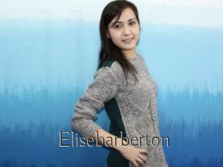 Elisebarberton